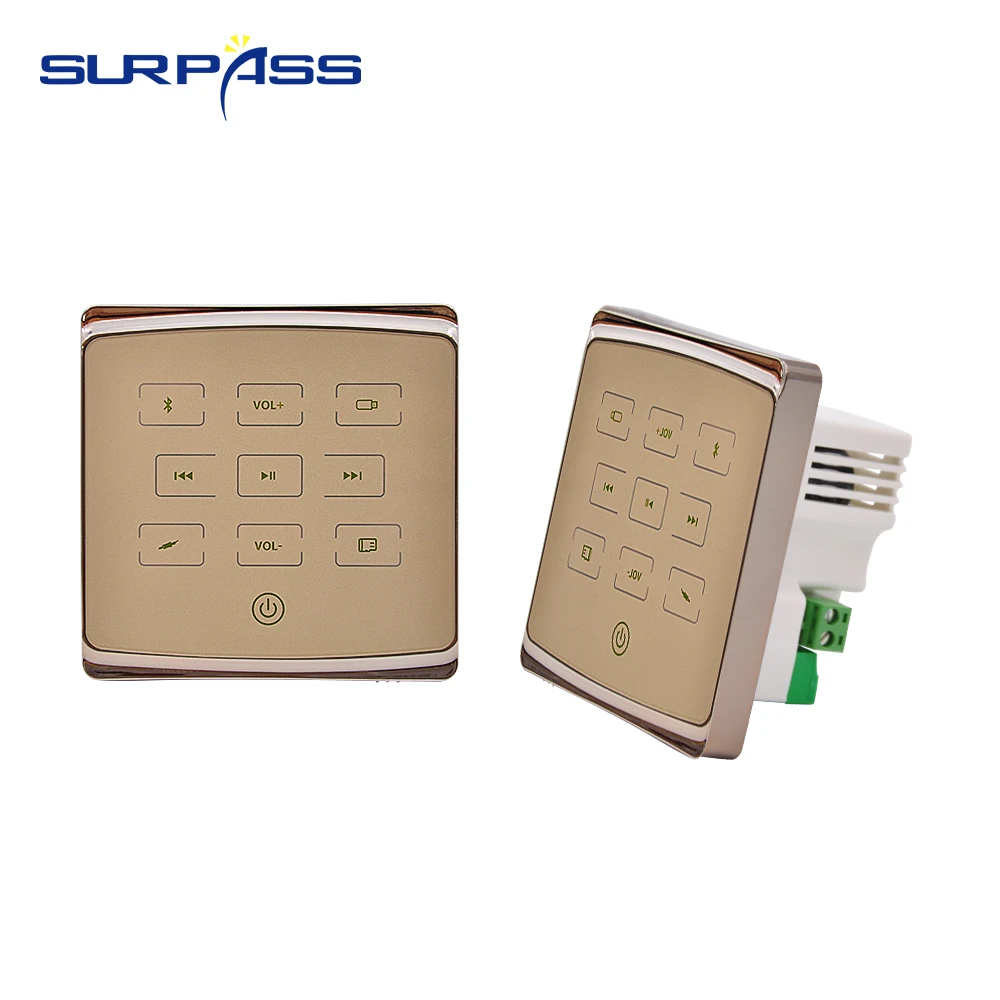 2 канальная аудиосистема для умного дома миниатюрный настенный усилитель с Bluetooth
