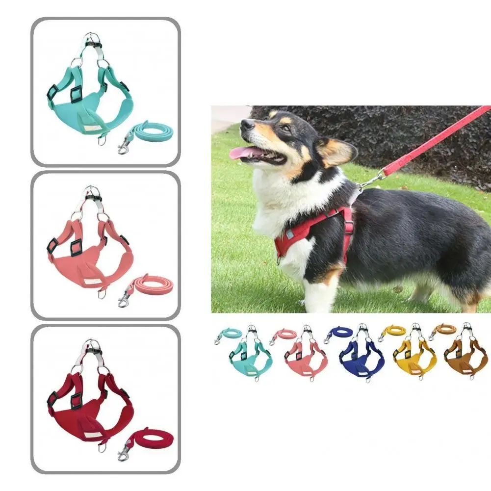 

Мягкая текстура 2 шт./компл. прочный качественный поводок для животных, регулируемый для маленьких и средних собак