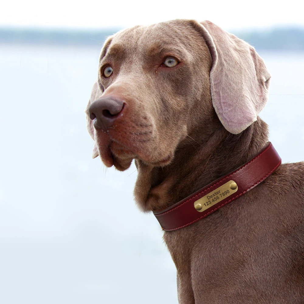 Custom Dog Collar Leather Dog Tag Collars Engraved Pet ID Tag Collars For Small Medium Large Dogs French Bulldog Pug Pitbull images - 6