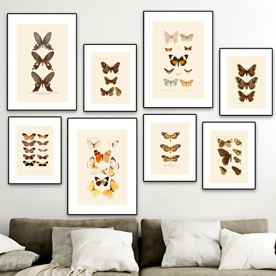 

Insect Popular Science Butterfly Wall Art Canvas Painting Vintage Nordic Posters And Prints Wall Pictures For Living Room Decor