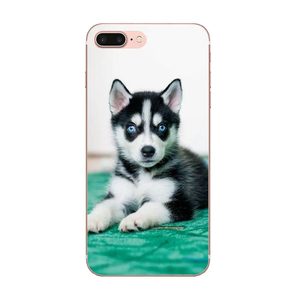 Мобильный телефон Wacky Husky новый персонализированный ТПУ мобильный для Sony Xperia Z Z1 Z2