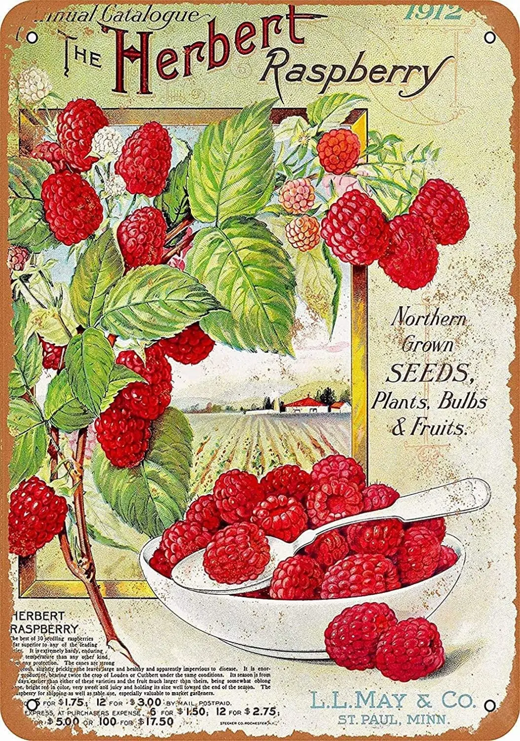 

Vintage Retro 1912 Herbert Raspberries Funny Fruits Vegetables Food Sweet Summer Wall Decor Home Decor Novlety Tin Metal Sign