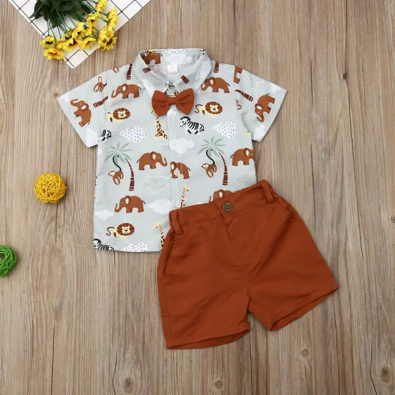Pudcoco Summer Infant Kids Cotton Baby Boy Clothing Sets Formal Birthday Party Clothes Suit T-shirt+Shorts Children's Cloth |