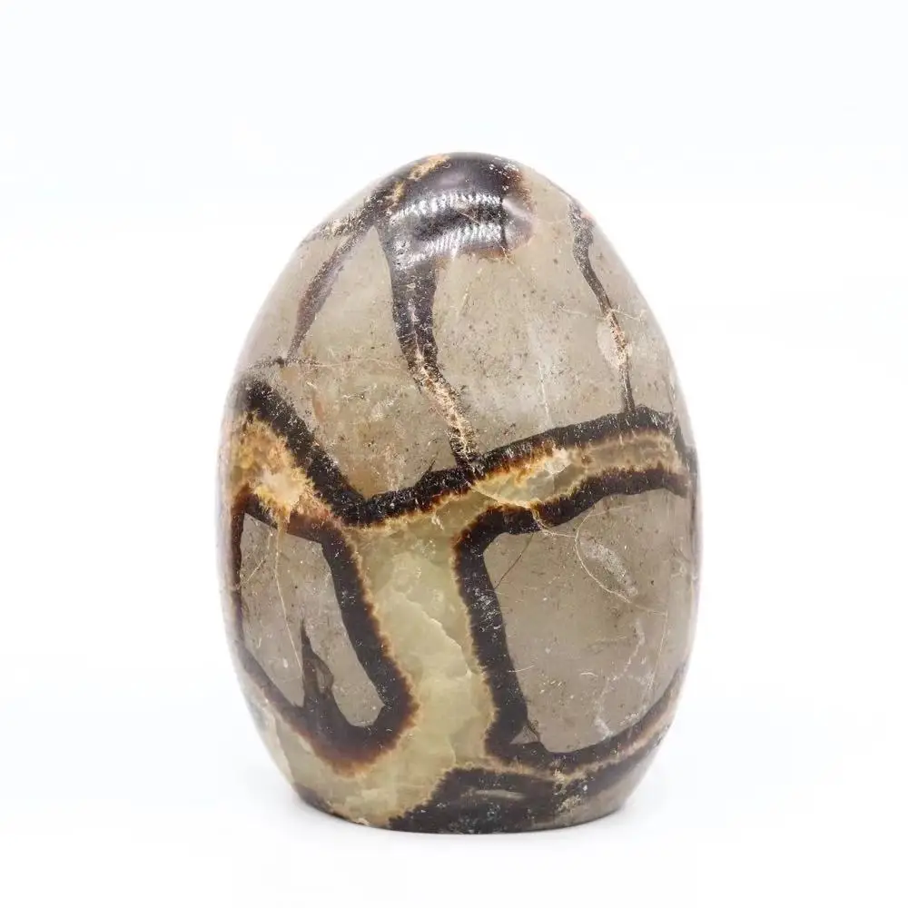 

1pc 500g-880g Natural Folk Crafts Crystal Gemstone Septarium Freeform