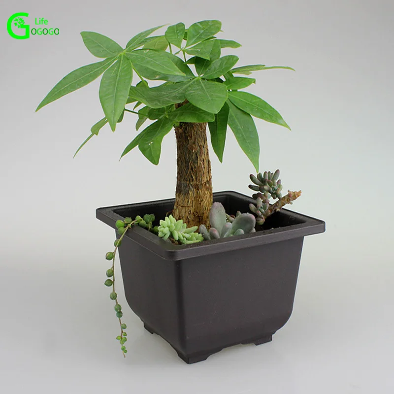 1 шт. пластиковый цветочный горшок для суккулентных растений бонсай питомник