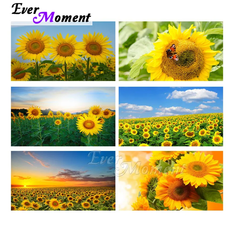 Алмазная 5d картина с полным покрытием из квадратных страз подсолнухом небом