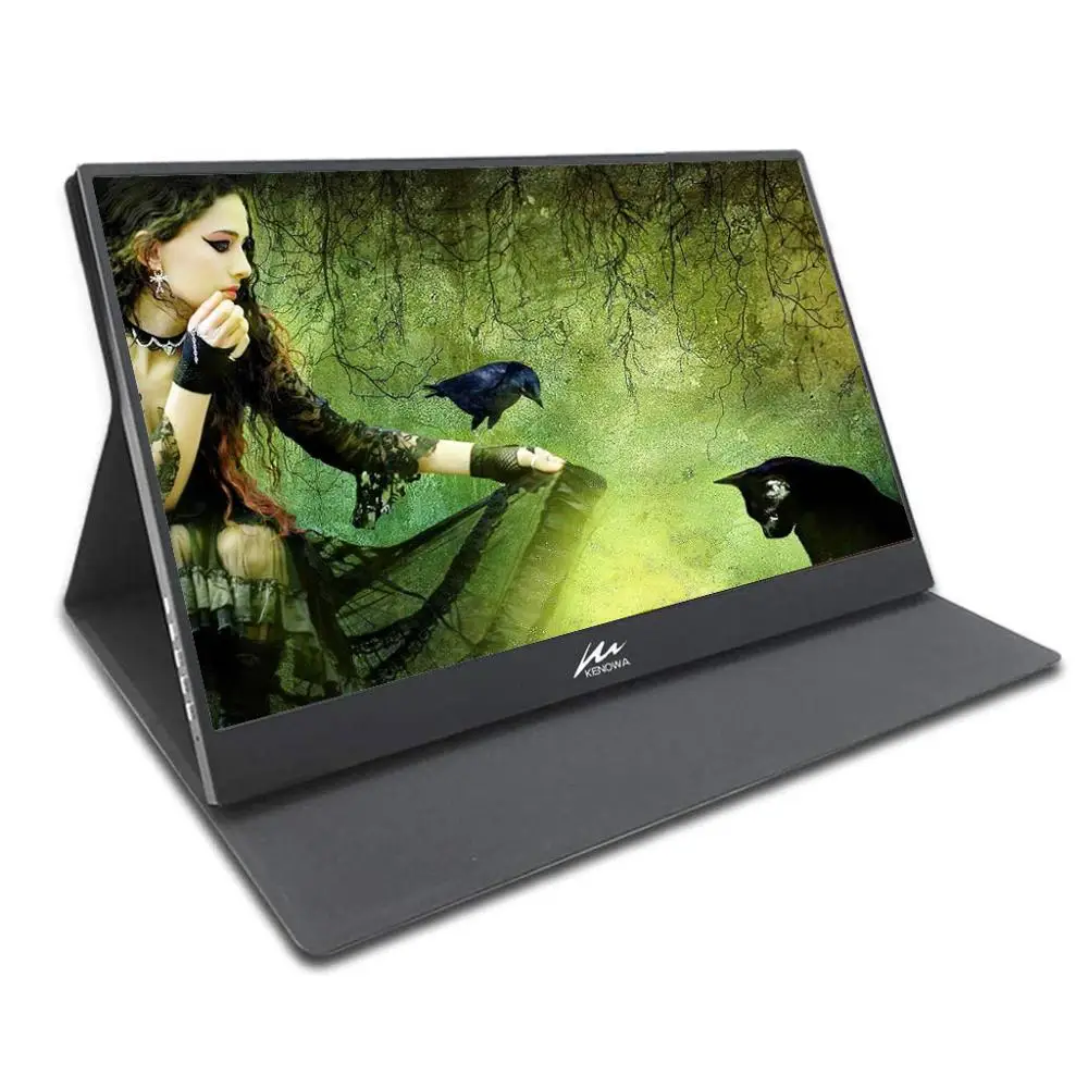 13.3 USB C Monitor 13," 1920x1080 ips подсветка" FHD "экран CNC алюминиевый тип оболочки-C(USB-C) игровой портативный монитор мини HDMI DC порт для PS4 xbox - Цвет: 13.3 USB C Monitor