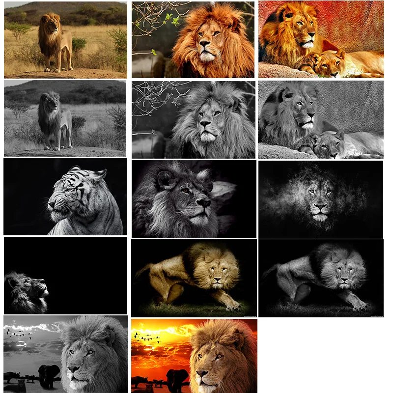 

Wild Animal Lion Canvas Poster and Prints Modern Black White Cuadros Home Decoration Painting Wall Art Picture For Living Room