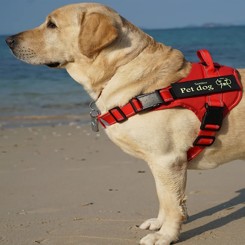 Защита грудной клетки для домашних животных и пояс на спине взрывобезопасный