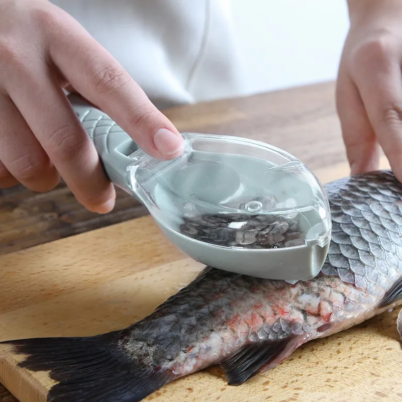 Рыболовные скребки рыболовные чешуи кисть артефакты строгальные инструменты