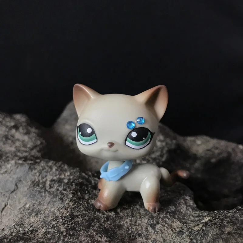 Сливовый Действительно Редкие pet shop мини игрушки Действие стоячая коллекция коротких волос кошка белый розовый черный оранжевый тигр кошка и собака подарки - Цвет: Сливовый