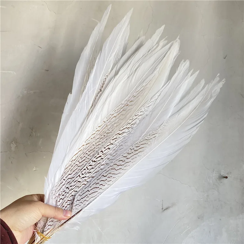 

20-22 inches 50-55 CM White Silver Chicken Pheasant Feathers for Crafts Decor Decoration Plumes Plume DIY