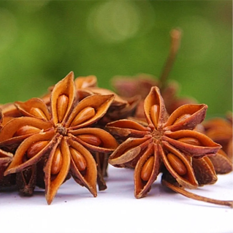 10 г Illicium verum бонсай знаменитая пряность для домашней кухни специи садовые