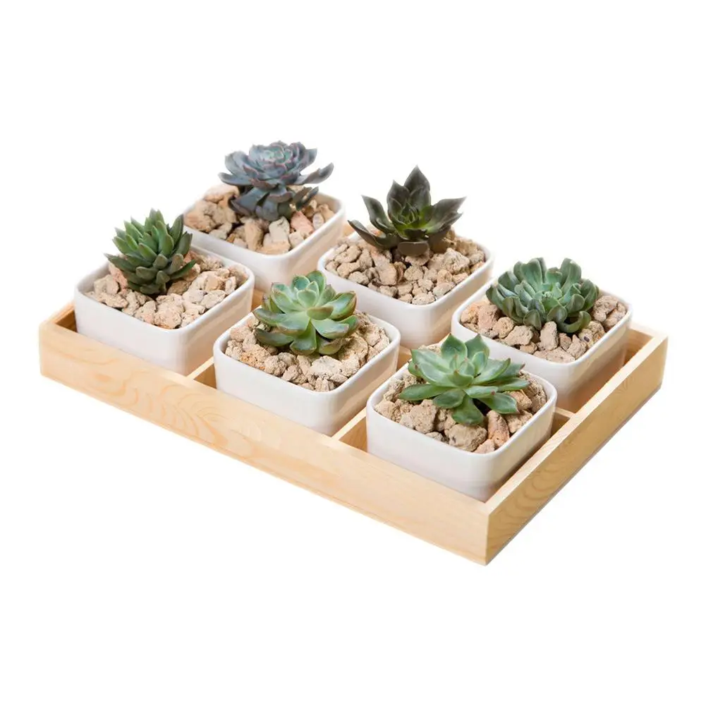 

Multi Grid Wooden Flower Pot Bonsai Planter Box Desktop Storage Holder Organizer Wooden Flower Pot