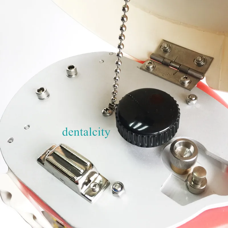 Стоматологическая Студенческая Модель манекены и модели фантомная головка для