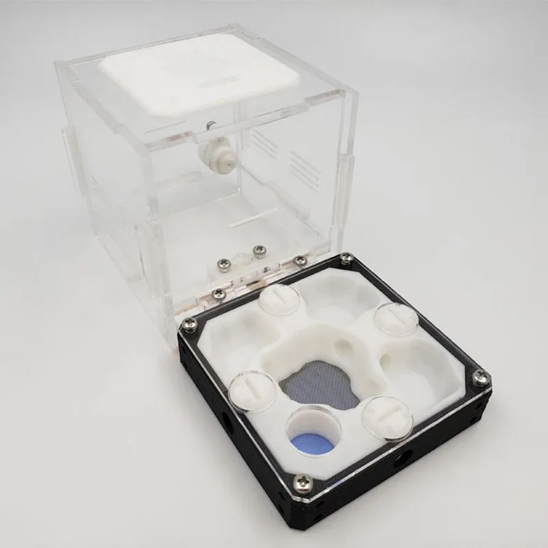 Муравьиная маленькая семья разведения гнездо акриловое Сращивание муравьиная