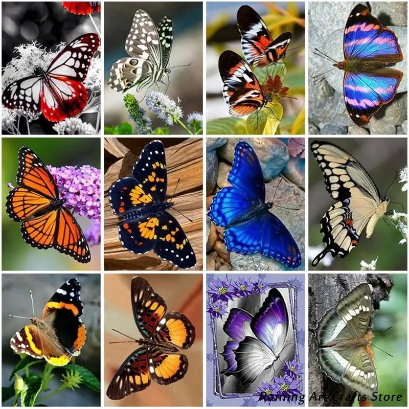 

5D Diy Diamond Painting Butterfly Insect Embroidery Full Round Square Drill Cross Stitch Kits Mosaic Picture Handmade Home Decor