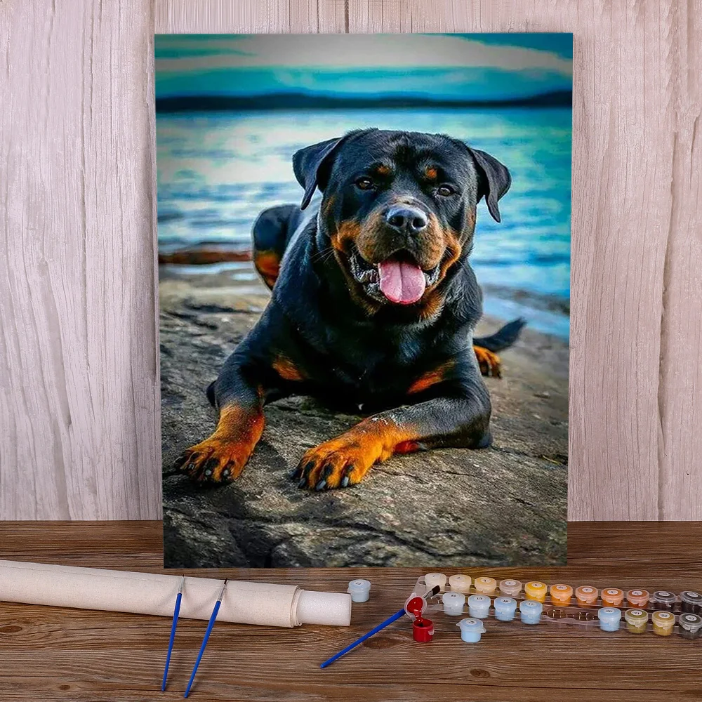 

Animal Dog Rottweiler Coloring By Numbers Painting Set Acrylic Paints 40*50 Canvas Pictures Wall Paintings Handicraft