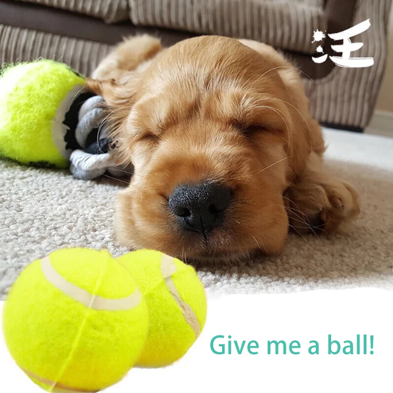 2 шт. мяч для тренировки собак 6 5 см