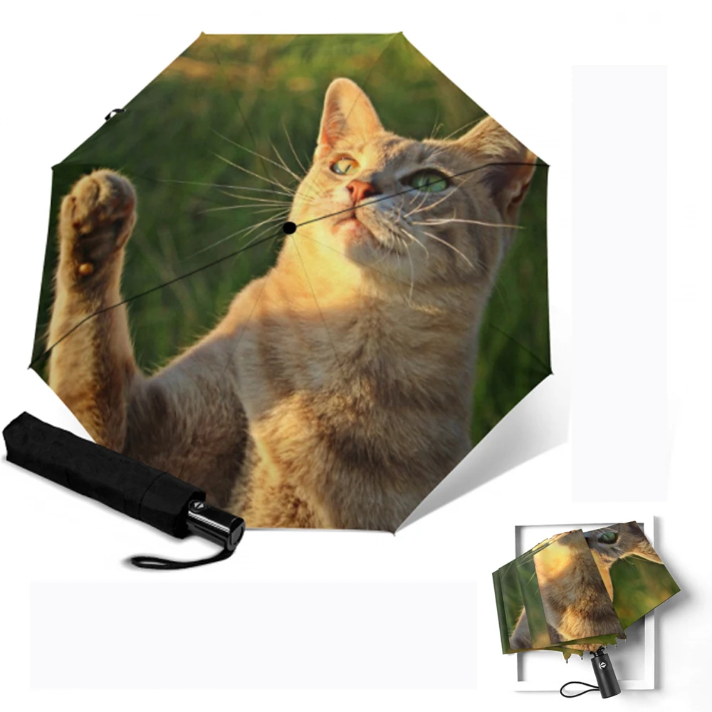 Детский складной зонт для женщин и кошек автоматический от дождя солнца с