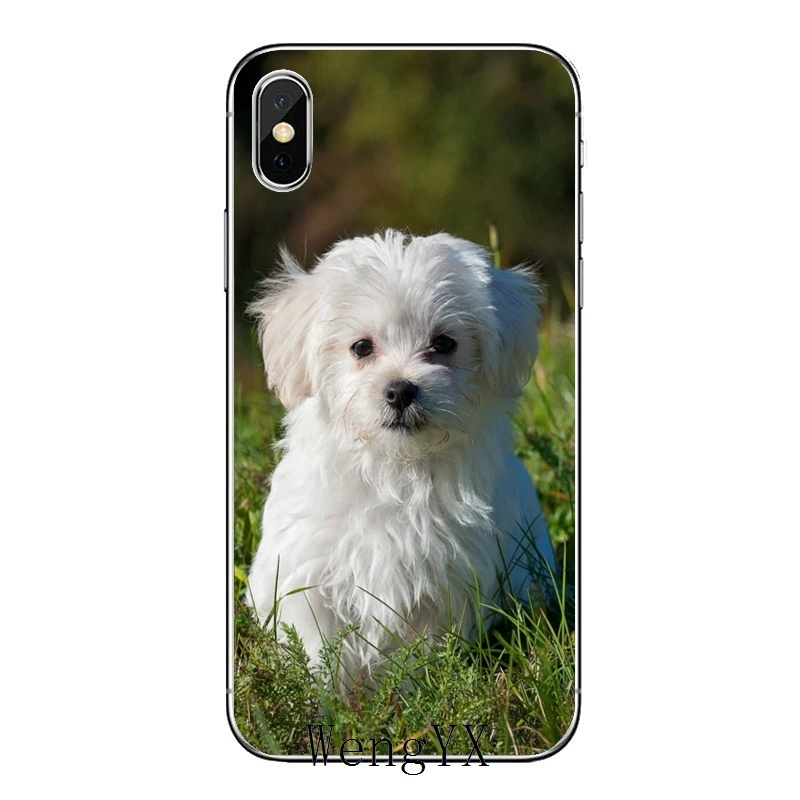 Мягкий чехол "Люблю своего мальтийского собаку" для Xiaomi Mi 9 CC9E 8 SE Pro A2 Lite 6X 5 4 A3 A1 Note Max Mix 2s 3 Pocophone F1.