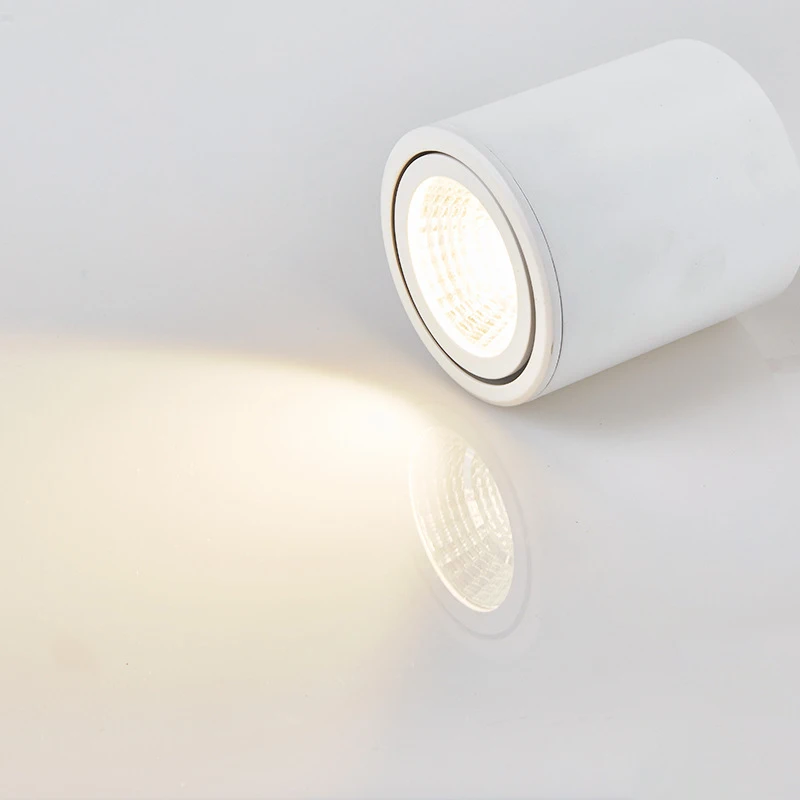 Вращающийся потолочный светильник с COB матрицей цилиндрические лампы для