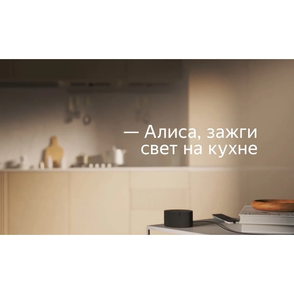 Яндекс Станция Мини New YNDX-00021 без часов |