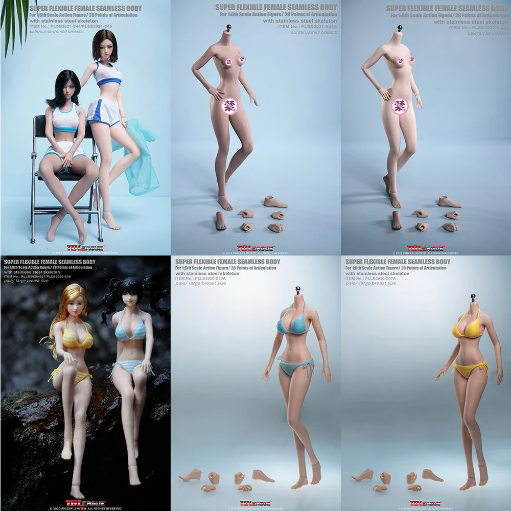 

In Stock 1/6 Scale S36 S36A S37 S37A S44 S44A S45 S45A Pale/Suntan Skin Large/Small Breast Super Flexible Seamless Anime Body