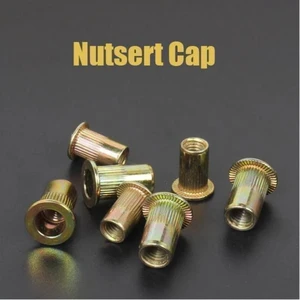 Rivet nut M3 M4 M5 M6 M8 M10 M12 Rivnut Stainless Steel Carbon Steel Flat Head Threaded Insert Nut Kit Dropshipping
