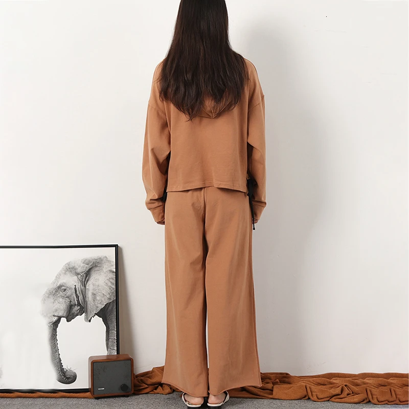 CHICEVER повседневный комплект из двух предметов для женщин толстовка с капюшоном и