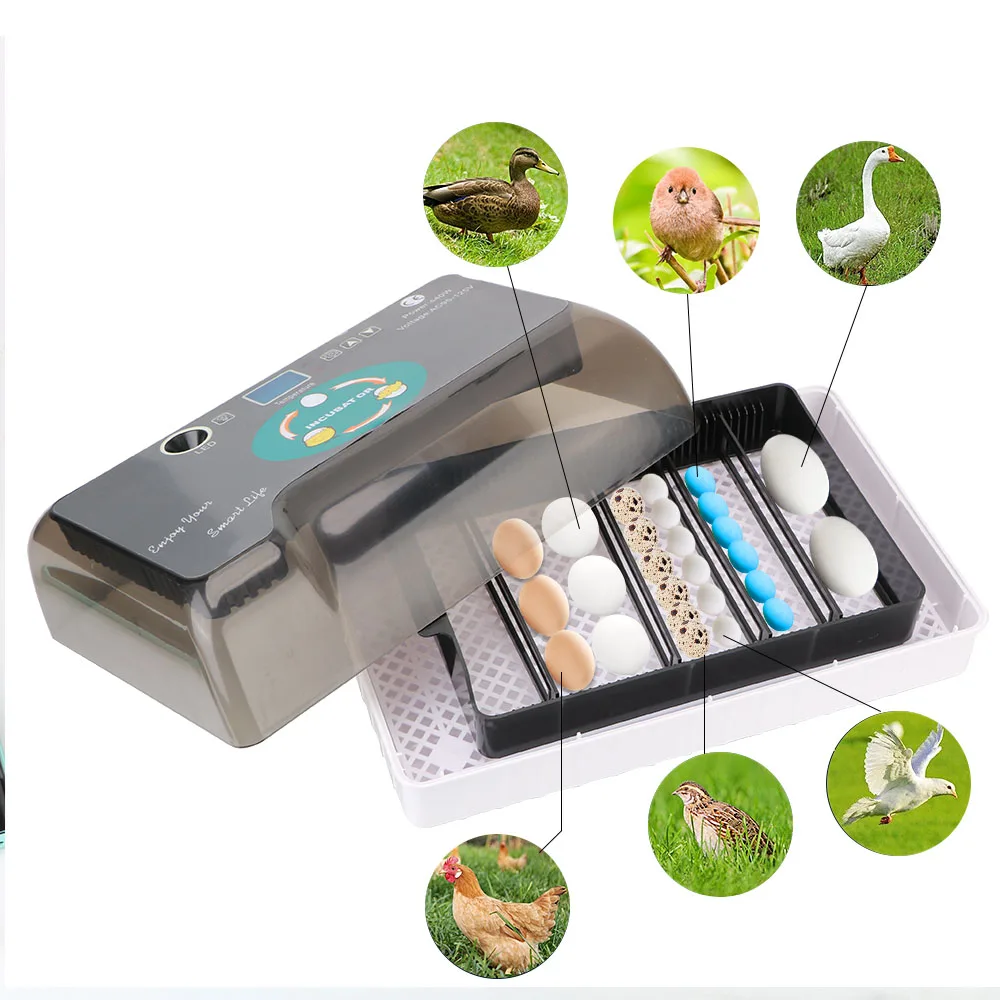Инкубатор для яиц 4-35 автоматический Брудер цыплят перепелов домашних животных