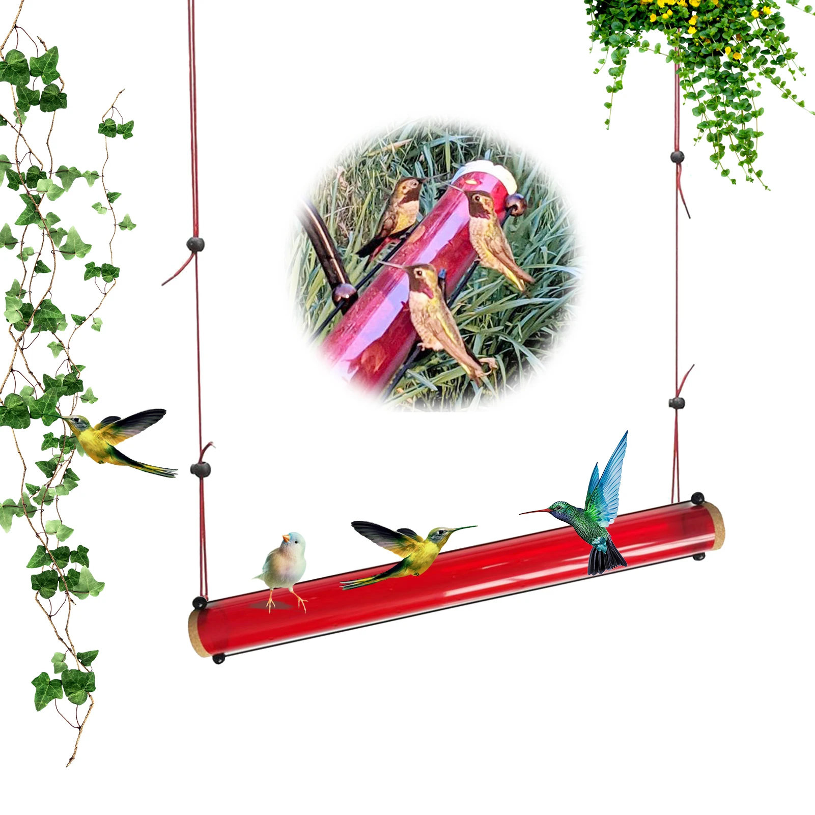 

Hummingbird Feeder with Hole Transparent Pipe Bird Feeder Red Transparent Tube Suitable for Outdoors Deck Patio Garden Yard