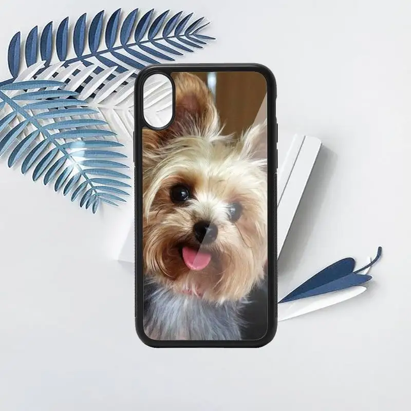 

Yorkshire terrier dog Cute animal high quality luxury Phone CasePC for iPhone 11 12 pro XS MAX 8 7 6 6S Plus X 5S SE 2020 XR