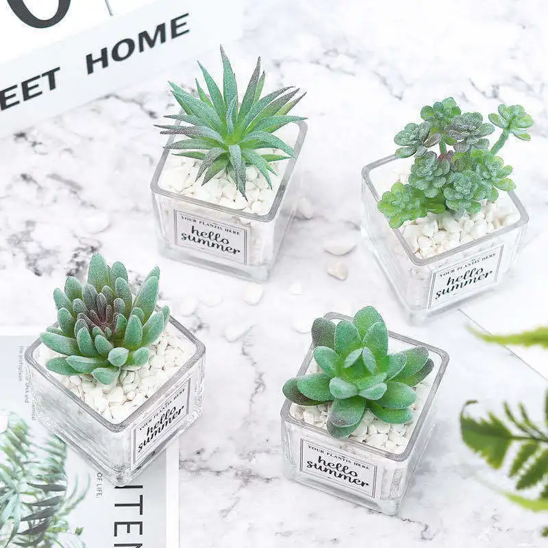 

Simplicity ins simulation succulents plastic green cactus home decoration mini potted plant garden decoration Office home decore