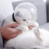 Изображение товара 0