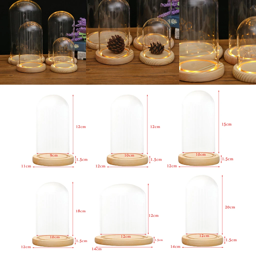 

Glass Display Dome Wooden Base Cork Bell Jar Cover LED Miniature Landscape Ornament Table Decoation Craft Plant Flower DIY Holde