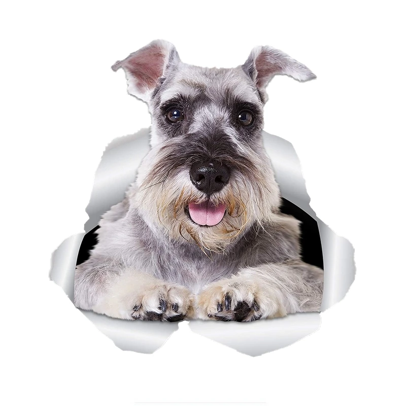 

Dawasaru 3D Super Schnauzer Dog Sticke Car Sticker Decal for Car WallAZToilet Kid's Room Luggage Skateboard Laptop,15*12CM
