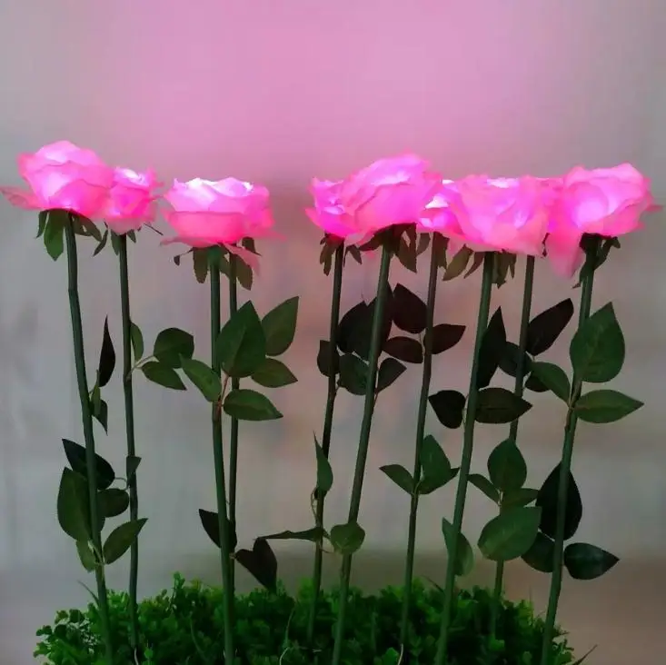 Kopen Rose Lantaarn Met Bladeren Zijden Doek Led Licht Rood Geel Blauw Kleur Vloerlamp Fit Outdoor Landschap Vierkante Tuin Decor SN3454