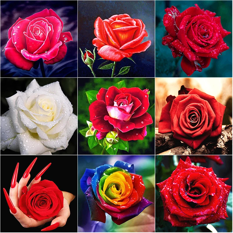 

5D DIY Diamond Painting Fresh Flowers Cross Stitch Full Square Round Drill Rose Flower Diamond Embroidery Manual Home Decor Gift