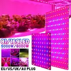 Светодиодсветильник фитолампа полного спектра с вилкой Стандарта ЕССШАВеликобритании, 5000 Вт, 8000 Вт
