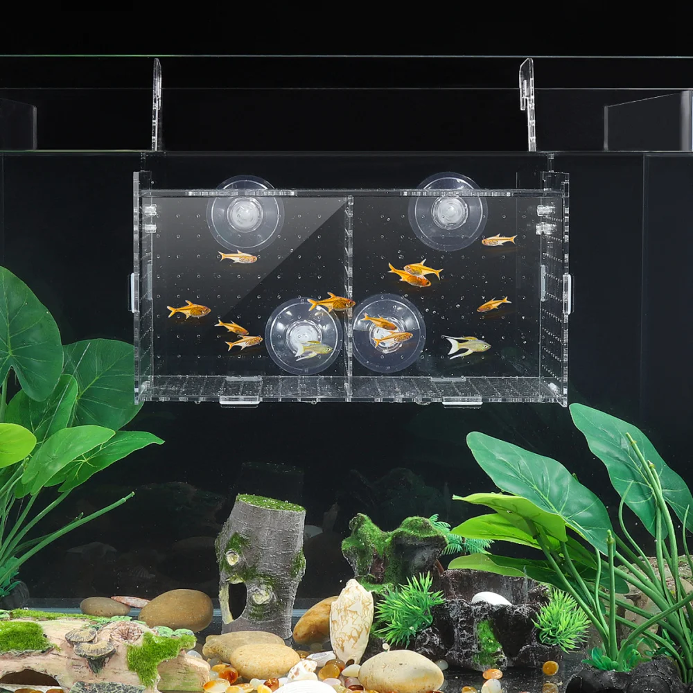 

POPETPOP Transparent Acrylic Fish Breeding Tank Isolation Box Aquarium Incubator Hatching Box