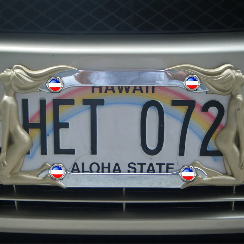 1 Набор лазерная гравировка Французский флаг Кремниевая поверхность цинковый