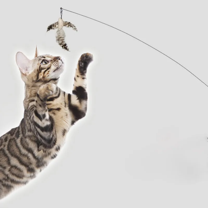 

3Pcs/lot Teaser Replacement Refill Feather Toy Colorful Pet Kitten Cat Toys Cats Playing Stick Accessories Pet Products uv