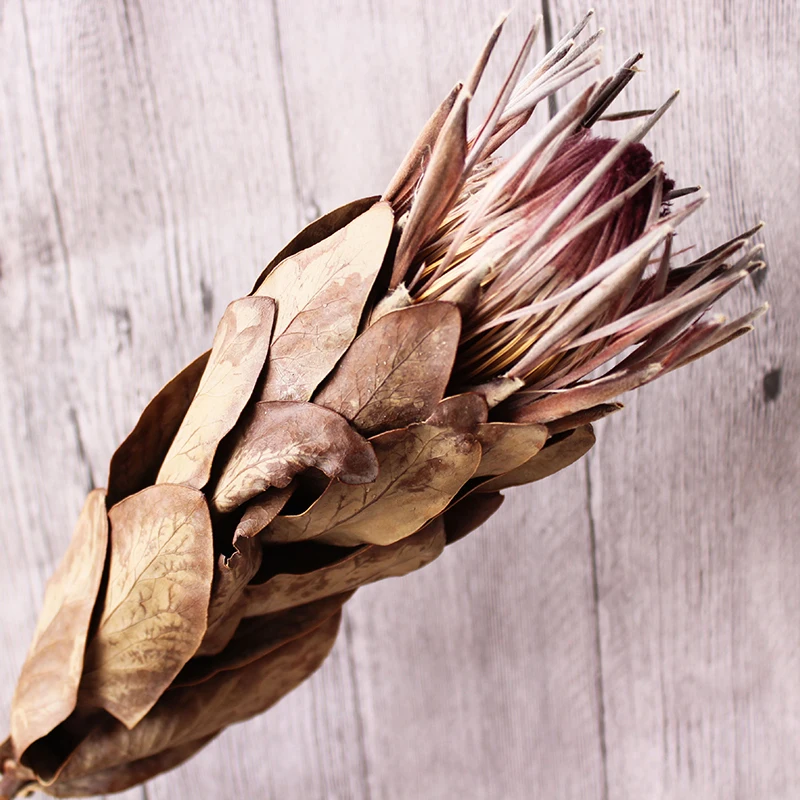 

1pc Dried Natural Flowers Queen Consort Scandinavian Fleurs Sches Naturelles For Wedding Home Living Room Decoration