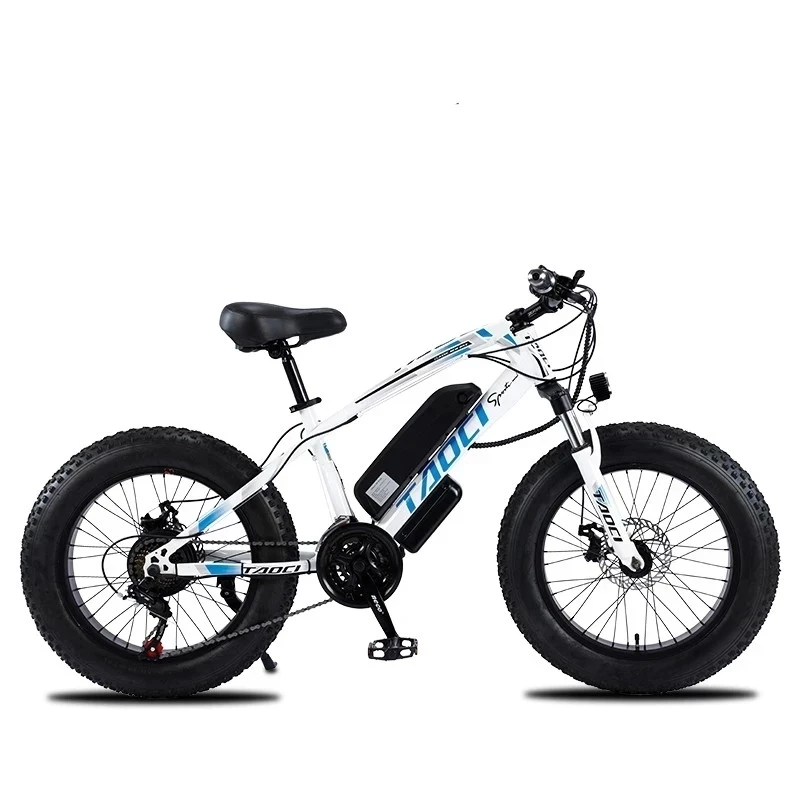 Electric Snow Bike 20 Inch 36V 350W Two Wheels Electric Bicycles Carbon Steel Off Road Fat Bike Electric Bicycle Adults