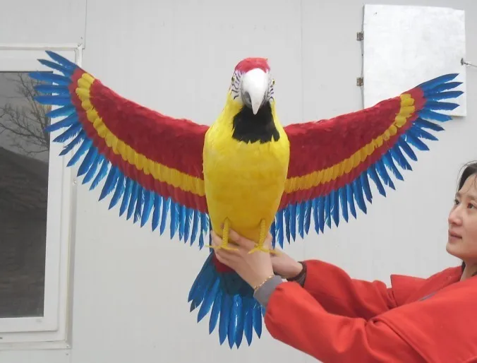 Реальная жизнь птичьи цветные перья попугай распространяющие крылья большие