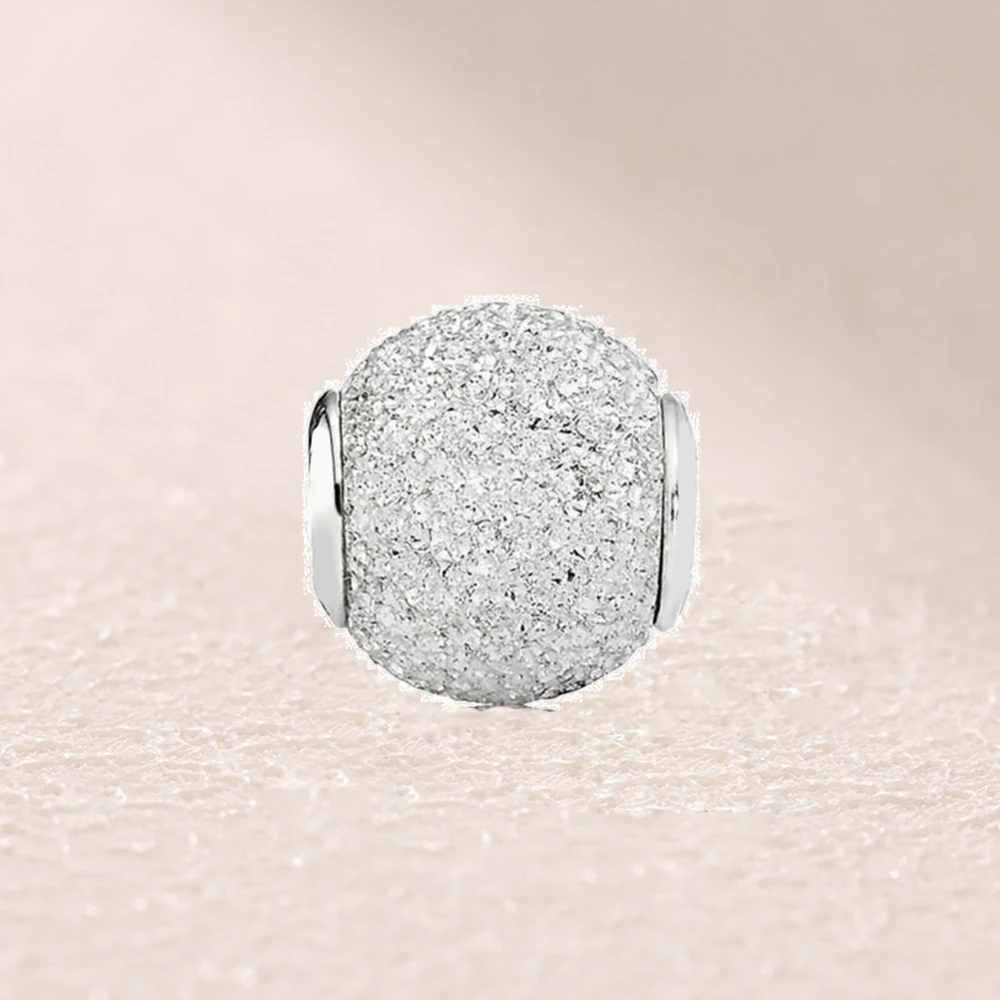 

796016 Wisdom Silver Charm -