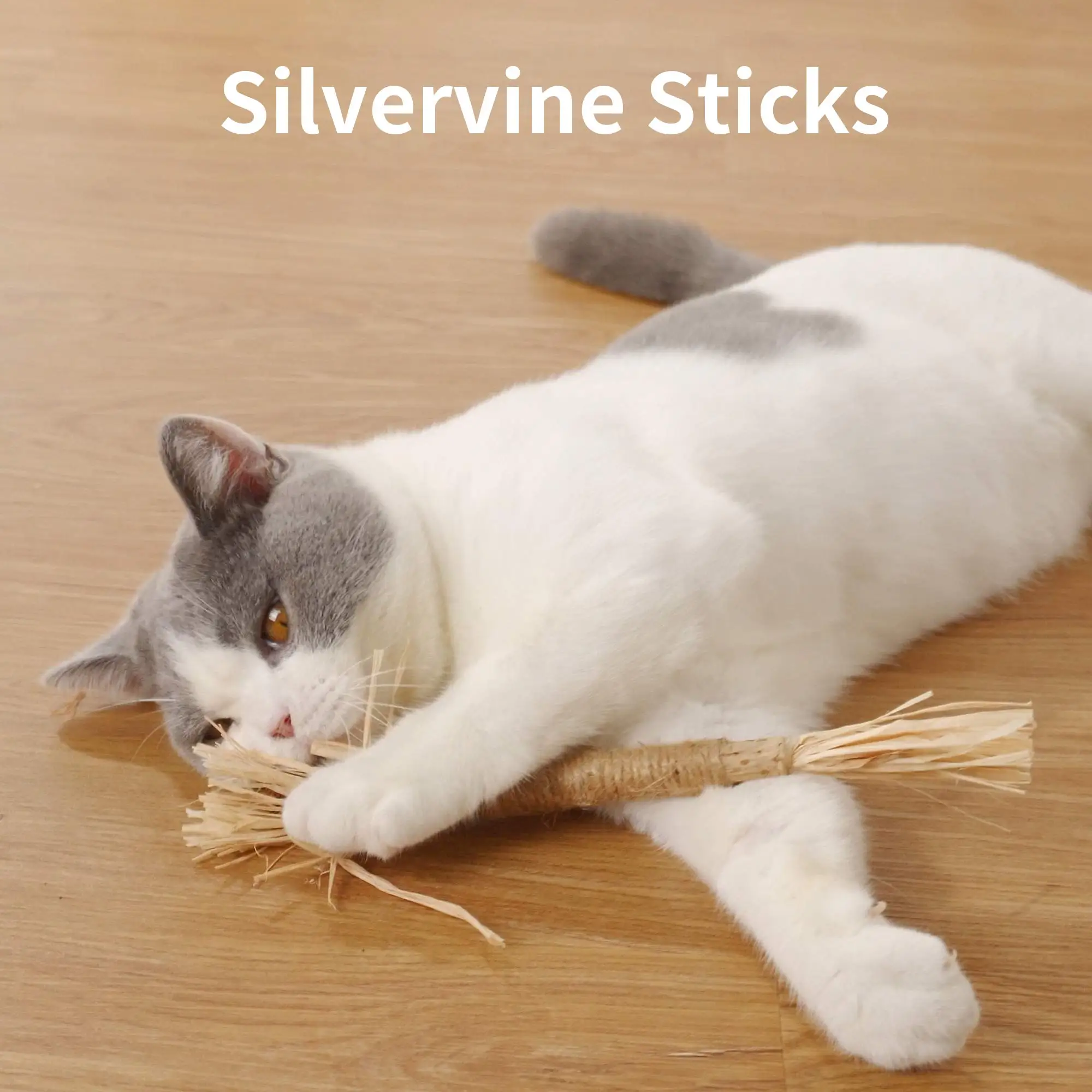 

Pet Silvervine Sticks Cat Chew Toys Interactive Cat Catnip Toys Teething Cleaning Molar Catmint Stick for Kitten Indoor Supplies