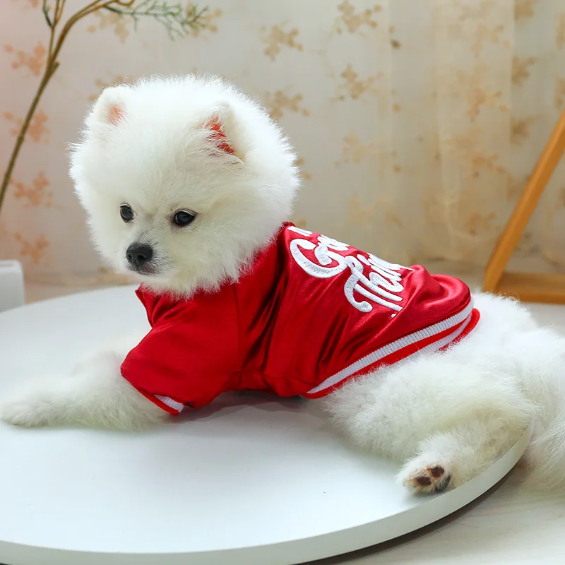 PETCIRCLE одежда для любимца Мишка Померанская собака осень и зима Толстая теплая