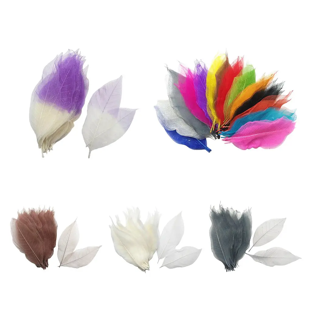 

100 Pieces Natural Magnolia Skeleton Fake Leaf for Decorating Cards, Candles,